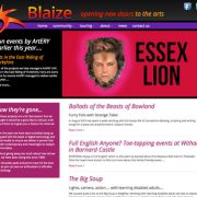 Blaize website design Ilkley