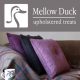Mellow Duck Logo and Website Design