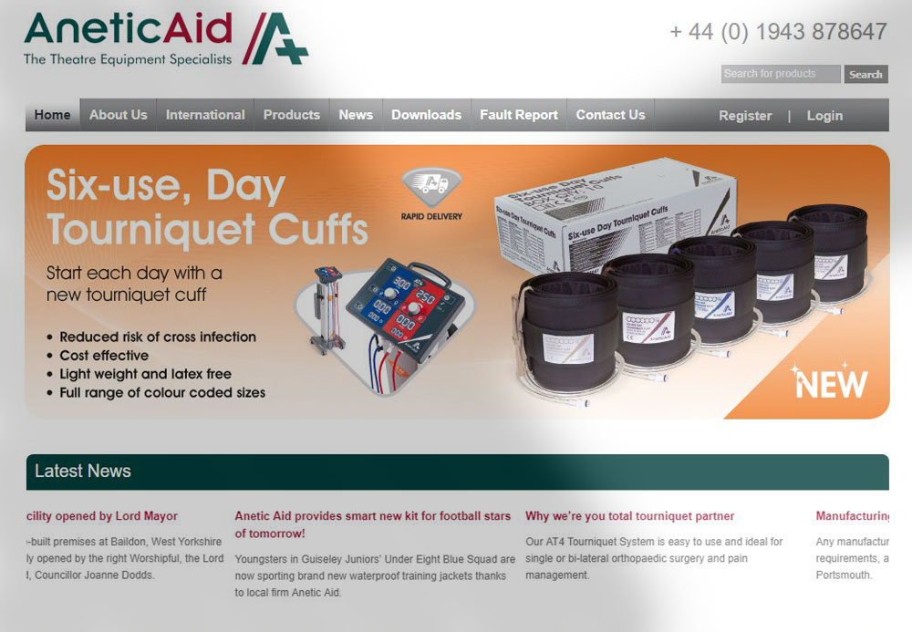 Online Marketing Case Study: Anetic Aid