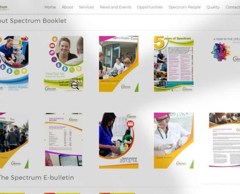 Website Development Case Study: Spectrum Health